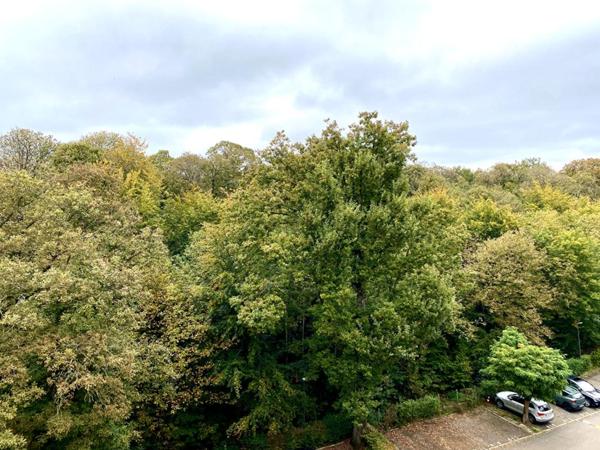 Appartement sans vis à vis 3 chambres à Sèvres 92310