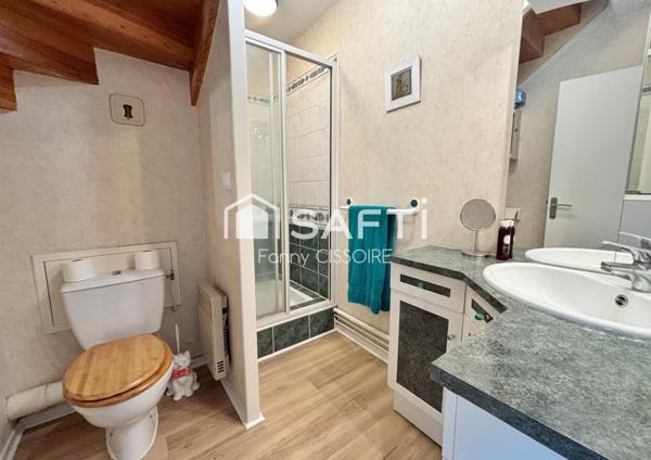 Spacieux appartement sur les bords de l'Erdre