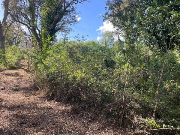 Terrain constructible proche de la mer