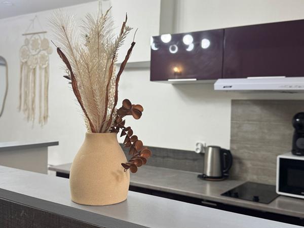 Clermont-Ferrand Centre - Appartement meublé 2 pièces 37 m²