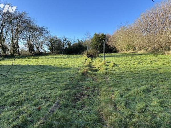 Longère à rénover entièrement à Sainte-Croix Hague