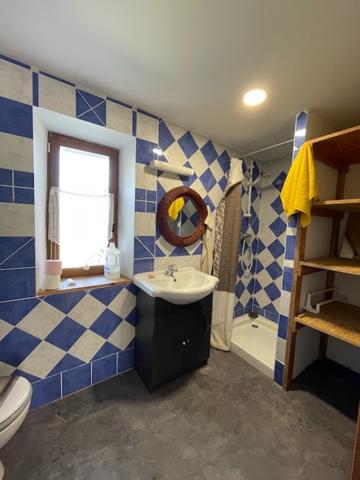 MAISON DE CAMPAGNE DE 265m2 SUR 9000m2 DE TERRAIN