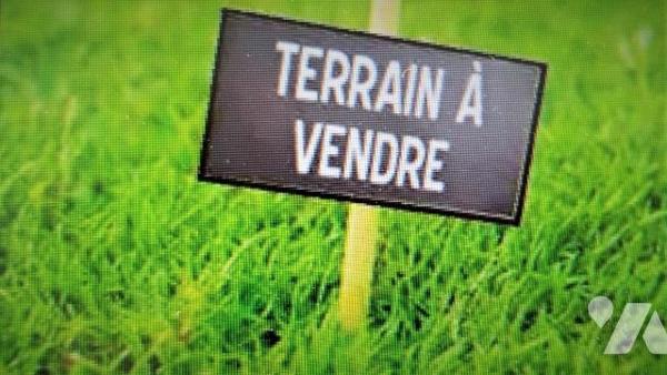 Plusieurs parcelle de terrain 