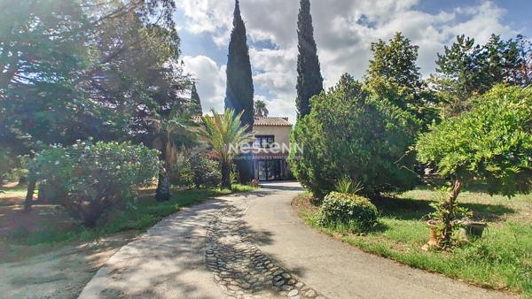 Maison avec dépendance à vendre à 15 minutes d'Argelès sur mer, 7 pièces, 169.82 m² sur 11546 m² de parc