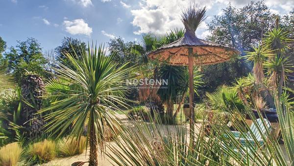 Maison avec dépendance à vendre à 15 minutes d'Argelès sur mer, 7 pièces, 169.82 m² sur 11546 m² de parc