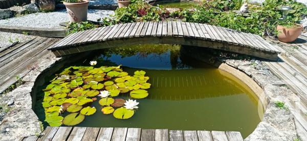 Maison à vendre  9 pièces - 214,21 m2 VITRE - 35