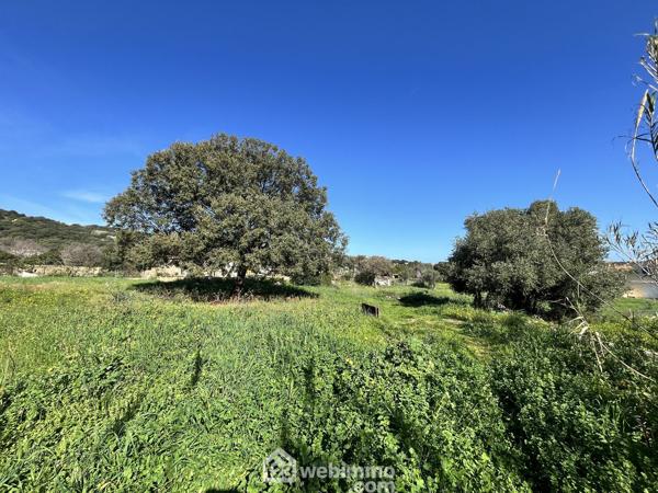 Terrain à bâtir 2218 m² à Santa-Reparata-di-Balagna 20220