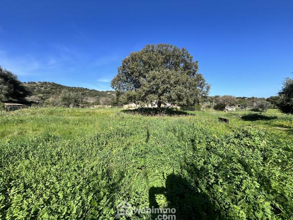 Terrain à bâtir 2218 m² à Santa-Reparata-di-Balagna 20220