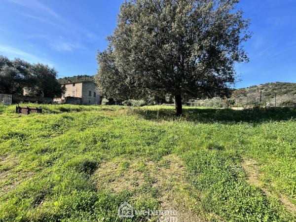 Terrain à bâtir 2218 m² à Santa-Reparata-di-Balagna 20220