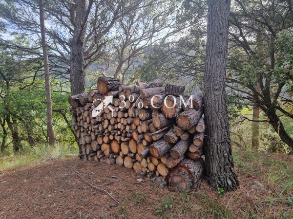 Mas 5 pièce(s) 4 chambre(s) 150 m²