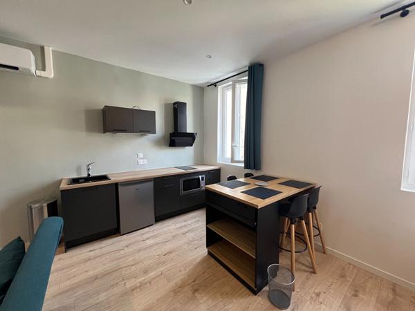 STUDIO CLIMATISE RENOVE QUARTIER 4 CHEMINS