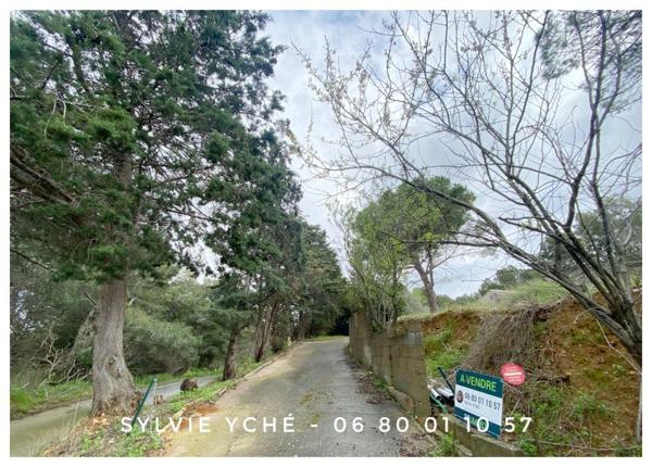 Vente / Maison et grand terrain