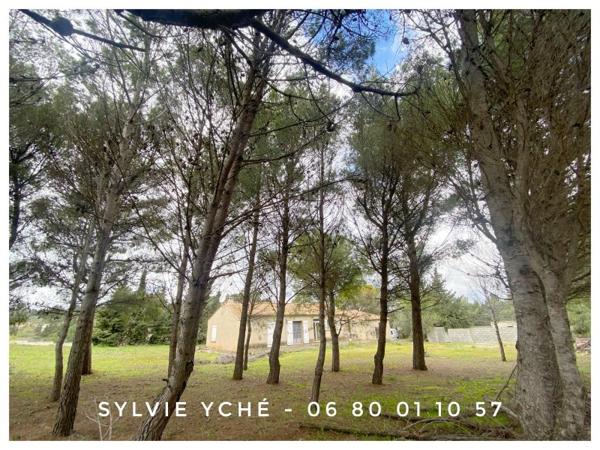 Vente / Maison et grand terrain