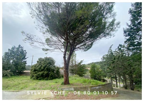 Vente / Maison et grand terrain