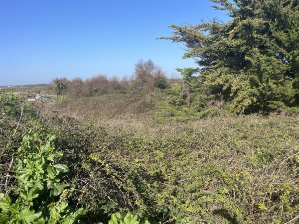 Terrain naturel – Marais – Les Vieux Ports