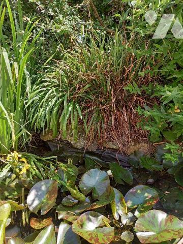 CAMARET SUR MER - Proche toutes commodités, maison en bon état, offrant pièce de vie avec coin ...
