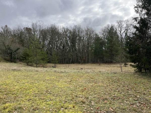 Terrain à vendre 57 000 € Trélissac 1006 m² DPE