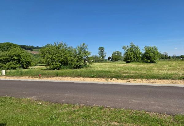 A vendre en exclusivité, proche de la Belgique et du Luxembourg, un terrain à bâtir viabilisé de 1551 m² !