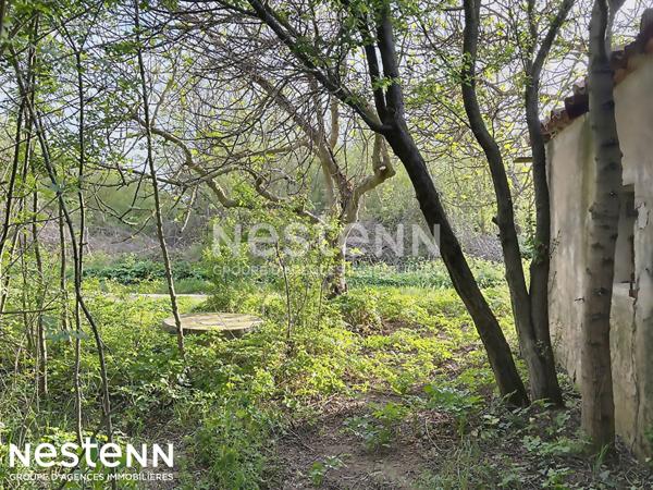 Terrain agricole et de loisirs de 4 558 m² -cadre boisé, puits, cabanon en dur cadastré de 14 m² - Narbonne