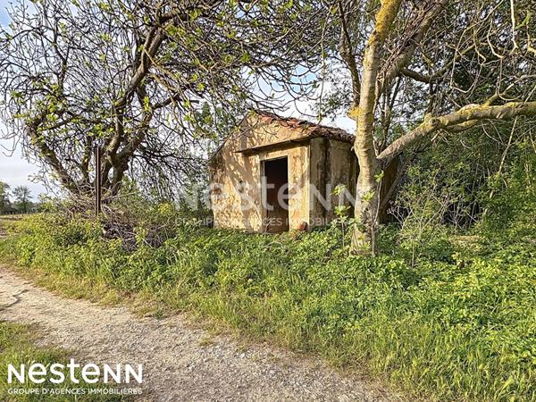 Terrain agricole et de loisirs de 4 558 m² -cadre boisé, puits, cabanon en dur cadastré de 14 m² - Narbonne