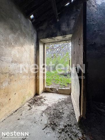 Terrain agricole et de loisirs de 4 558 m² -cadre boisé, puits, cabanon en dur cadastré de 14 m² - Narbonne