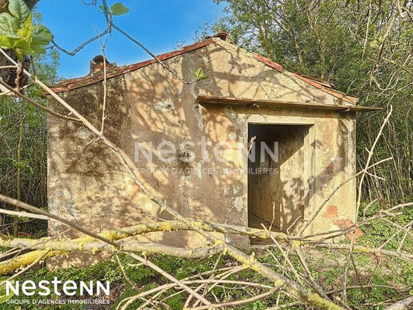 Terrain agricole et de loisirs de 4 558 m² -cadre boisé, puits, cabanon en dur cadastré de 14 m² - Narbonne