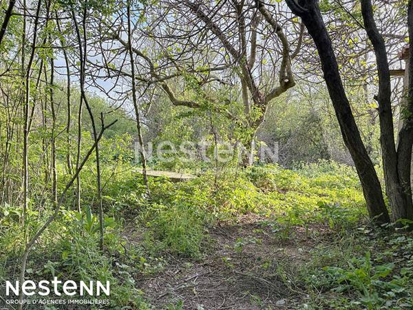 Terrain agricole et de loisirs de 4 558 m² -cadre boisé, puits, cabanon en dur cadastré de 14 m² - Narbonne