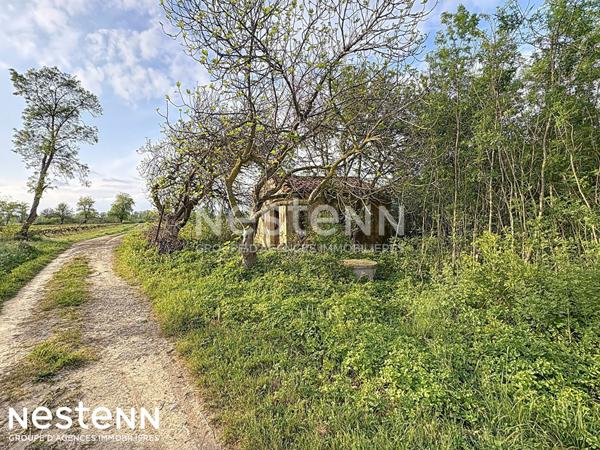 Terrain agricole et de loisirs de 4 558 m² -cadre boisé, puits, cabanon en dur cadastré de 14 m² - Narbonne