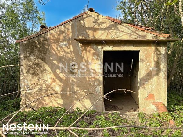 Terrain agricole et de loisirs de 4 558 m² -cadre boisé, puits, cabanon en dur cadastré de 14 m² - Narbonne