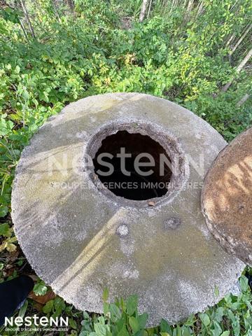 Terrain agricole et de loisirs de 4 558 m² -cadre boisé, puits, cabanon en dur cadastré de 14 m² - Narbonne