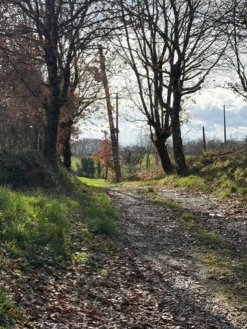 PLAISANCE(32) proche: au bout du chemin , SANS VOISIN, belle VUE, belle MAISON 174m2 économique, écologique, sur 15000m2 de terrain plat, dominant,