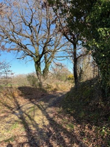 PLAISANCE(32) proche: au bout du chemin , SANS VOISIN, belle VUE, belle MAISON 174m2 économique, écologique, sur 15000m2 de terrain plat, dominant,