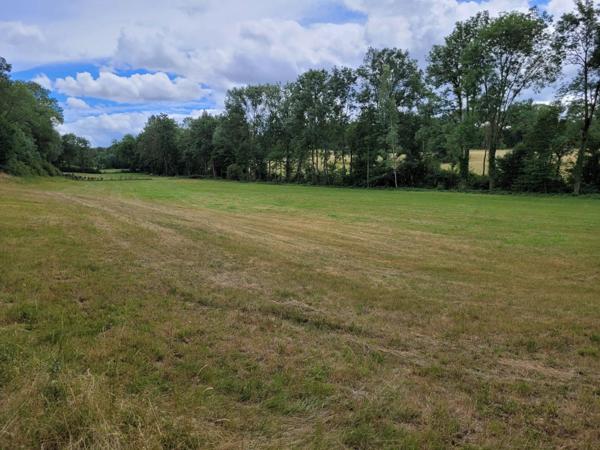 Vente Ferme 2 pièces 280 m2 à Chavaniac-Lafayette