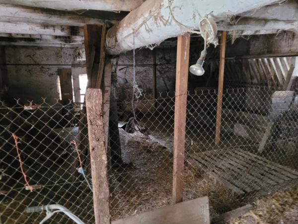 Vente Ferme 2 pièces 280 m2 à Chavaniac-Lafayette