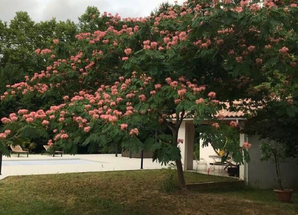 Maison à vendre    7 pièces •  Saint-Martin-de-Hinx