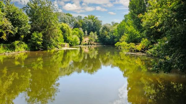 OPPORTUNITÉ : TERRAIN DE LOISIR D'ENVIRON 1 300 M² AVEC EAU, ÉLECTRICITÉ ET ACCÈS PRIVILÉGIÉ À LA SARTHE !