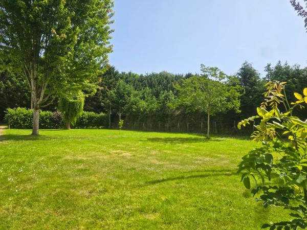 OPPORTUNITÉ : TERRAIN DE LOISIR D'ENVIRON 1 300 M² AVEC EAU, ÉLECTRICITÉ ET ACCÈS PRIVILÉGIÉ À LA SARTHE !