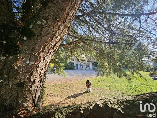 Murs commerciaux  à vendre 400 m² Virignin