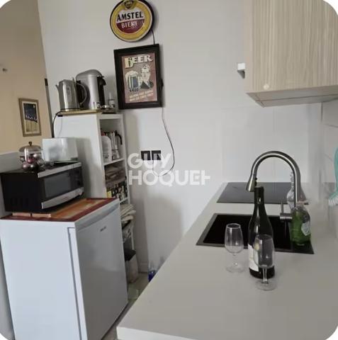 Appartement à louer meublé de 1 pièce de 43.67 m²