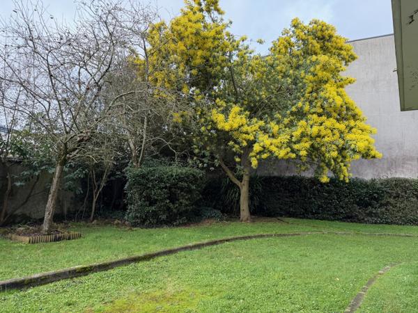 Nantes (44000) Vivre au cœur d’un jardin… sans jamais avoir à l’entretenir.