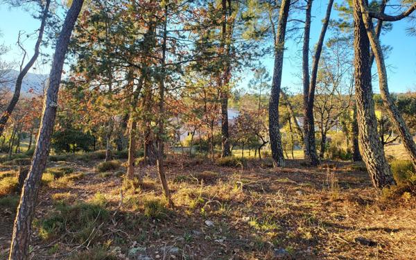 Terrain à vendre    Les Assions