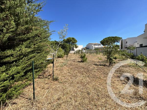 Terrain à vendre  719 m2 MARSEILLAN - 34