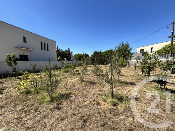 Terrain à vendre  719 m2 MARSEILLAN - 34