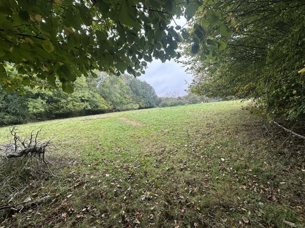 Terrain - 5836 m² Exclusivité efficity