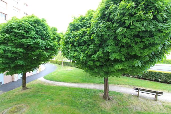 Appartement Chalon Sur Saône 1 pièce 30.95 m2