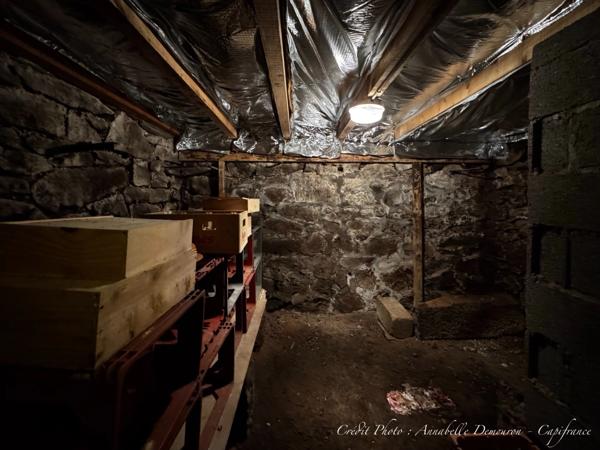 Maison à vendre 8 pièces VOLVIC (63) - 5 chambres, terrain, grand garage et caves
