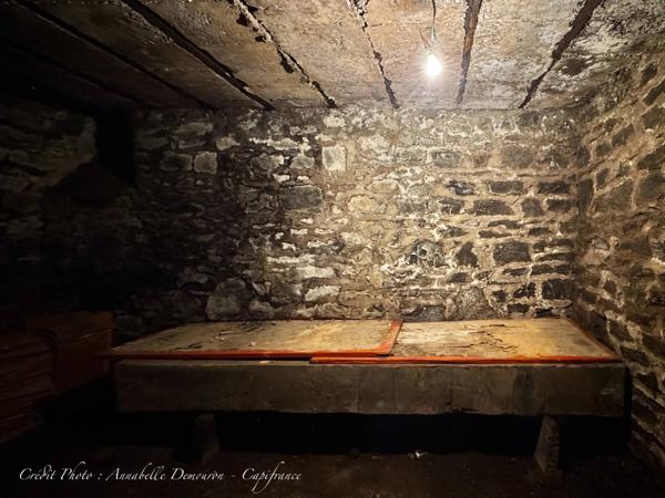 Maison à vendre 8 pièces VOLVIC (63) - 5 chambres, terrain, grand garage et caves