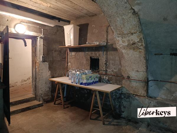 2 APPARTEMENTS STANDING MONO PROPRIÉTÉ - 229,50 M² - COMBLE AMÉNAGEABLE - BALCONS - GARAGE DOUBLE- CAVES - VUE QUAI DE SAÔNE