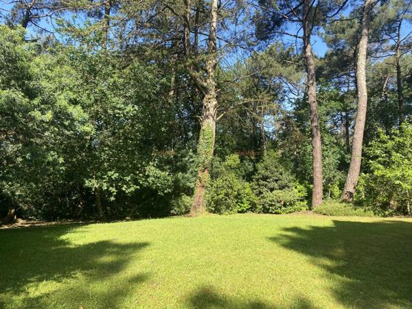 Maison-Vannes Ouest-Beau terrain arboré