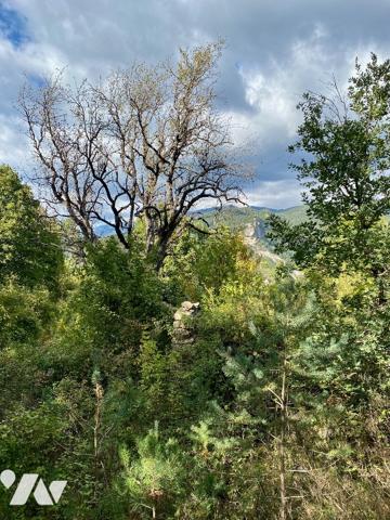 Terrain 8 hectares avec ruine.
À cheval sur zones agricole et naturelle du PLU.